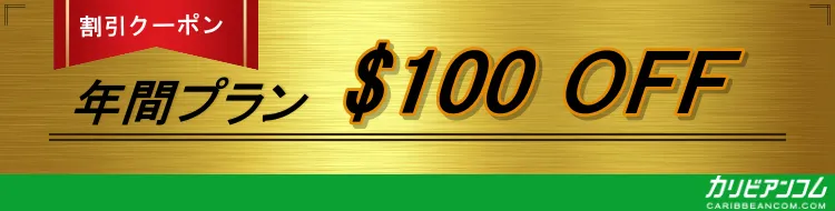 100ドル割引クーポン