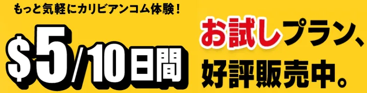 お試しプラン(10日間)