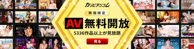 無料プラン(24時間)